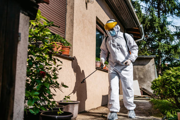 Best Bed Bug Extermination  in Big Pine Key, FL