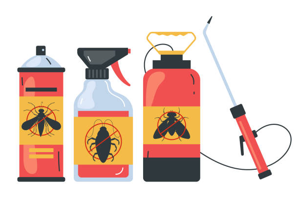 Best Termite Control Services  in Big Pine Key, FL